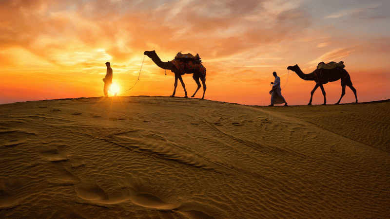 Rajasthan Package