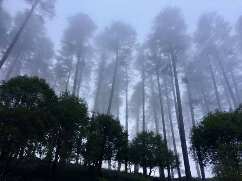 2 Night 3 Days Musoorie Tour Packege
