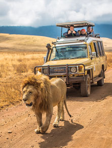 Tanzania Tour
